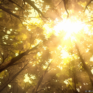 TVアニメ『ワールド イズ ダンシング』PV場面カット