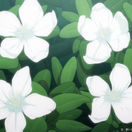 TVアニメ『ワールド イズ ダンシング』PV場面カット