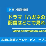 ハガネの女 配信情報