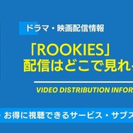 ルーキーズ 配信情報