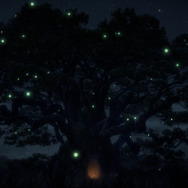 「クスノキの番人」新規場面写真