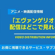 エヴァンゲリオン 配信情報