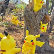 いったい何匹のピカチュがいるんだろう