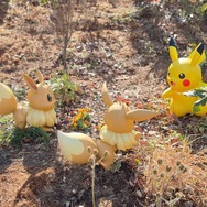 あちこちでピカチュウとイーブイが遊んでいます