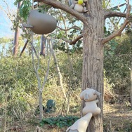 「ポケパーク カントー」でポケモンたちに大興奮！リアルすぎる森エリア「ポケモンフォレスト」を現地レポート