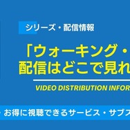 ウォーキング・デッド 配信情報