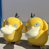 あちらこちらにポケモンが。絶対会いたかったコダックを発見！