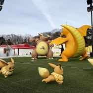 バトルを眺めました