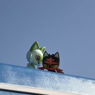 屋根の上にいるのは、ニャオハとニャビーでした