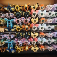 たくさんのカチューシャ