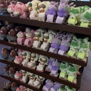 腕に巻きつけ、冒険に！