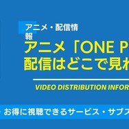 ONE PIECE アニメ 配信情報