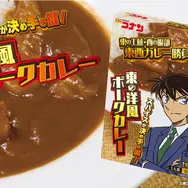 東の工藤 洋風ポークカレー