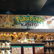 自然光が入る店内