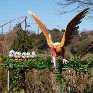 飛行ポケモンたちは頭上にいます