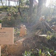 「ビッパのかじりば」