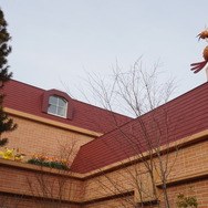 「カヤツリタウン」の至る所にポケモンがいます