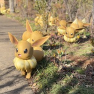 「ピカチュウとイーブイのもり」