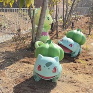 「カヤツリタウン」の至る所にポケモンがいます