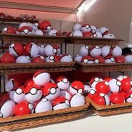 モンスターボールの中にはポケモンのピンバッジ（全151種）