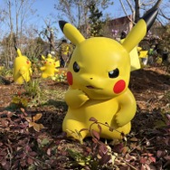 ピカチュウは怒った顔が一番カワイイ