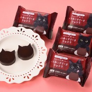 にゃんともおいしい くろねこテリーヌ ショコラ