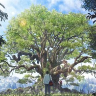 『クスノキの番人』場面写真