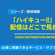 「ハイキュー!!」配信情報