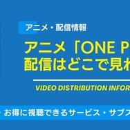 アニメ「ONE PIECE」配信情報