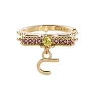 名探偵コナン アイコニック ストーリー リングオブジェ