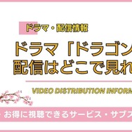 ドラゴン桜 配信情報