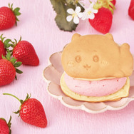 NEW ちいかわ（いちご）