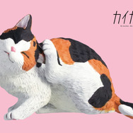 三毛：サイズ（H38×W55mm）