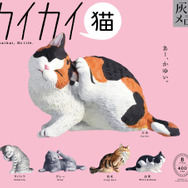 猫の日は猫三昧♪ サバトラや三毛猫、カイカイしてる姿が癒やし～♪ カプセルトイが新登場