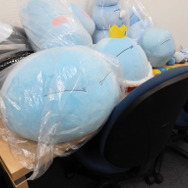 エイトビットの様子