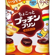 外装パッケージ  ピクニック