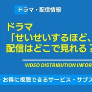 ドラマ「せいせいするほど、愛してる」 配信情報