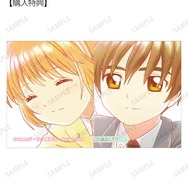 TVアニメ『カードキャプターさくら クリアカード編』木之本 桜＆李 小狼 Ani-Art aqua label コンパクトクリアカード AMNIBUS限定特典