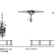 禰豆子の口枷とマダケ属2種における節間比の比較