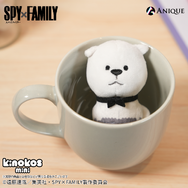 トレーディング KINOKOS miniボンド