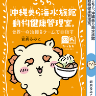 講談社『ちいかわ×青い鳥文庫　まなびのちいあお文庫』