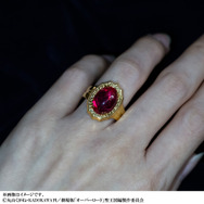 【シルバーモデル】限定410点