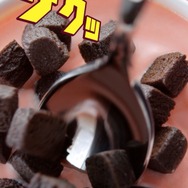 『トムとジェリー』×ハーゲンダッツ WEB CM