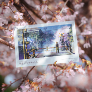 『秒速5センチメートル』リバイバル上映