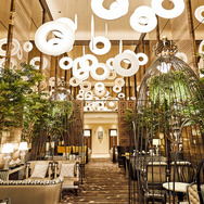 【店舗概要】 Cafe & Dining ZelkovA（カフェ＆ダイニング ゼルコヴァ）