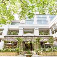 ザ ストリングス 表参道