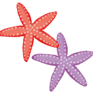 「歩いてるだけで面白い」「なんで常時メガシンカしてるのｗ」メガスターミー登場のアニメ「ポケットモンスター」予告にツッコミ続出