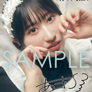 『涼本あきほ1st写真集 あきいちばん』