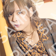 「TVガイドVOICE STARS」vol.37