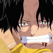 TVアニメ『ワンピース』1155話（「東の海（イーストブルー）編」～「エッグヘッド編」）